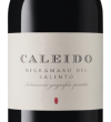 Caleido 2020 - Jorche - 