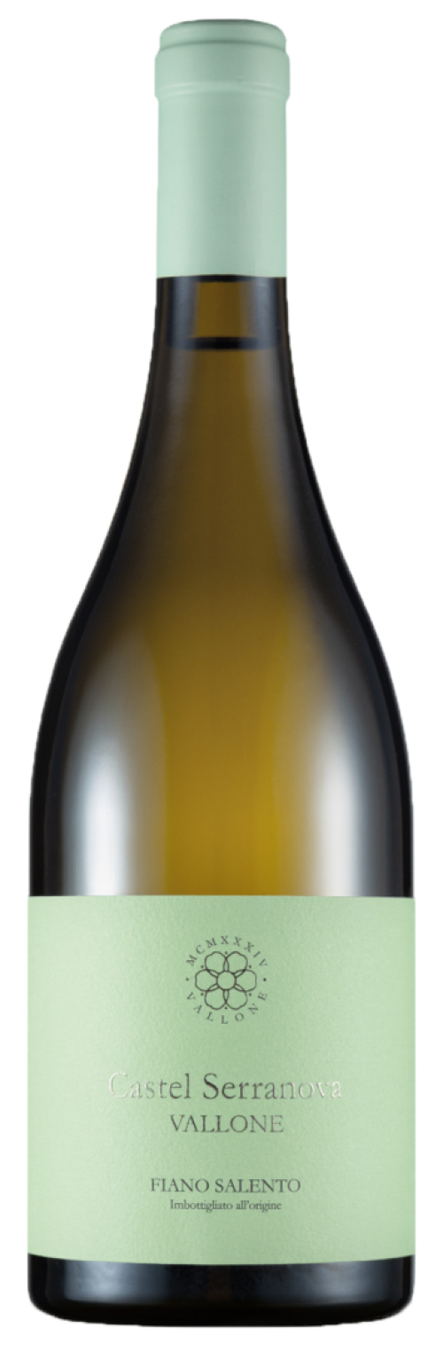 Castel Serranova fiano 2024 - Vallone
