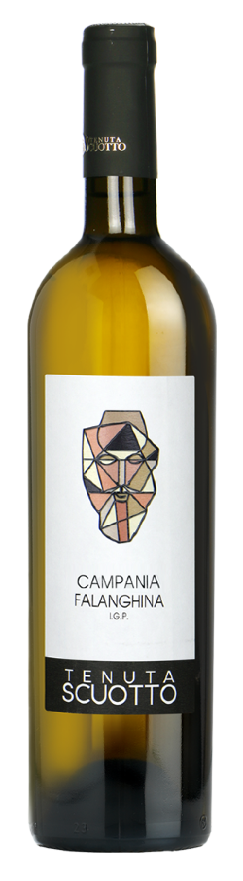 Falanghina 2023 - Scuotto