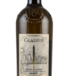 Gladius 2021 - Baia del sole - 