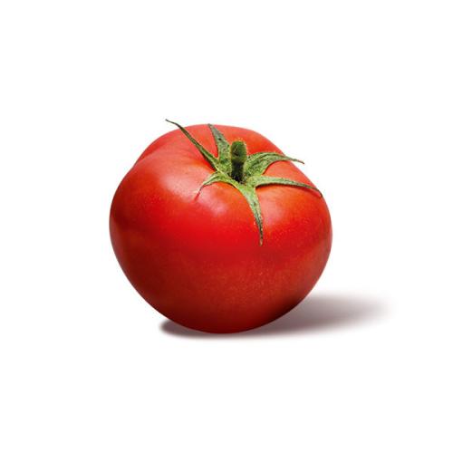 Passata - Salemipina
