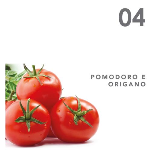 Grissini al pomodoro e origano - Maistrello