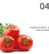 Grissini al pomodoro e origano - Maistrello - 