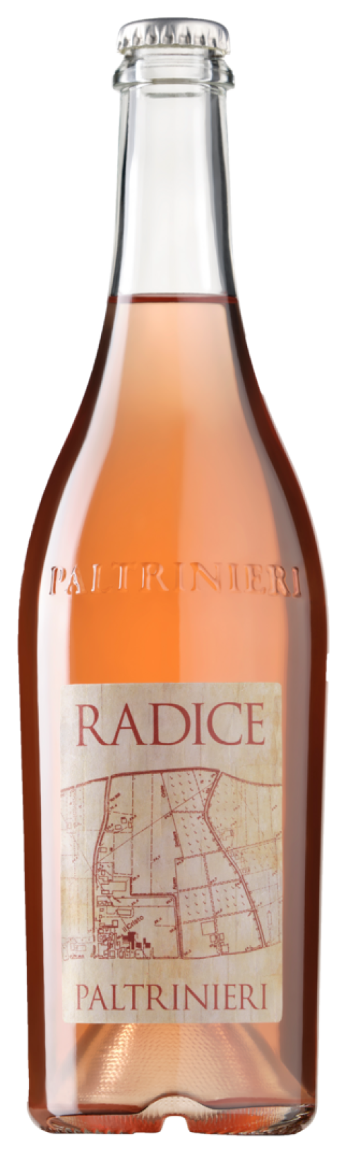 Radice lambrusco - Paltrinieri