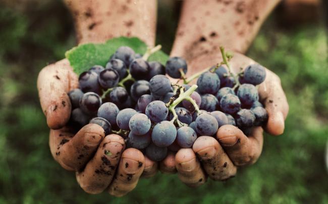 OlioVino? Dat is kwaliteit én persoonlijk advies!